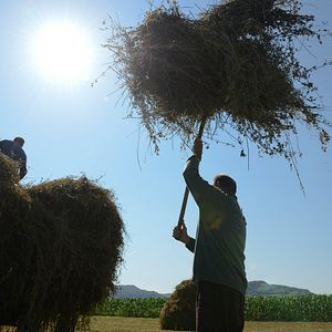 Bilder Arbeit macht das Leben süß, Faulheit stärkt die Glieder