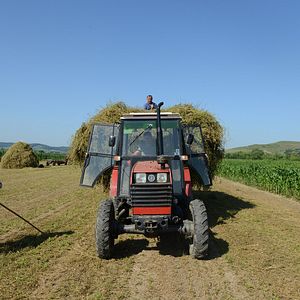 Bilder Arbeit macht das Leben süß, Faulheit stärkt die Glieder