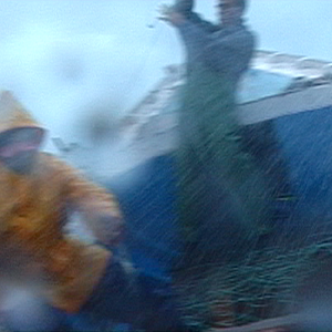 Bilder Rabo de Peixe