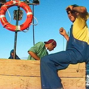 Bilder Rabo de Peixe