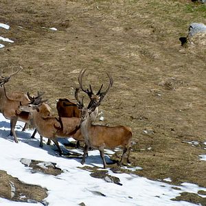Bilder Baden-Württemberg von oben