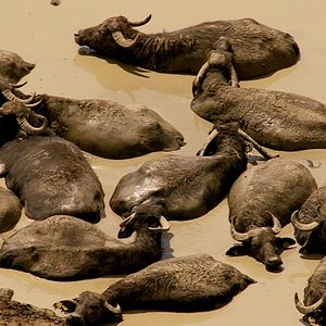 Bilder Baden-Württemberg von oben