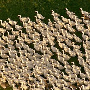 Bilder Baden-Württemberg von oben
