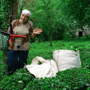 Bilder Tristia - Eine Schwarzmeer-Odyssee