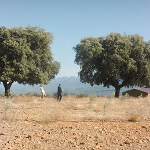 Bilder Der Geldkomplex