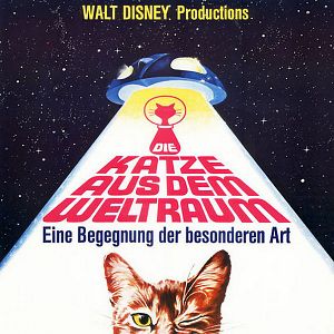 Bilder Die Katze aus dem Weltraum