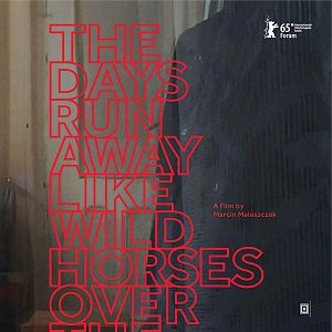 Bilder The Days Run Away Like Wild Horses Over the Hills