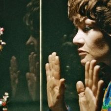 Bilder Neun Leben hat die Katze