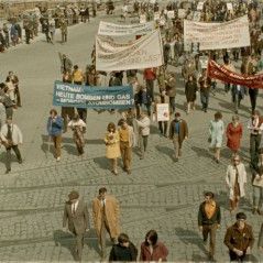 Bilder Neun Leben hat die Katze