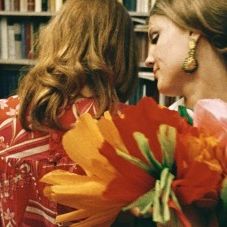 Bilder Neun Leben hat die Katze