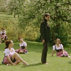 Bilder Neun Leben hat die Katze