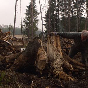 Bilder Über die Jahre