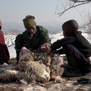 Bilder Coming of Age