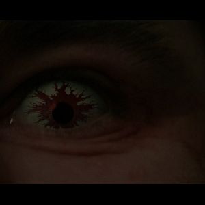 Bilder Population Zero