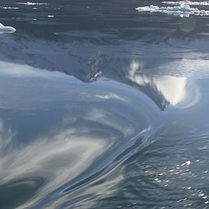 Bilder Der Perlmuttknopf