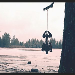 Bilder Cinderella - Playing with Dolls