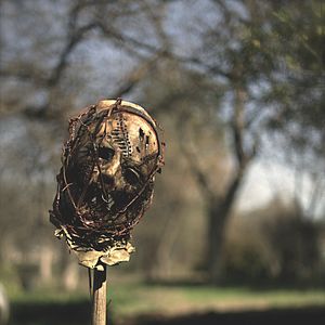 Bilder Cinderella - Playing with Dolls