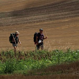 Bilder Compostelle, le chemin de la vie