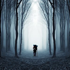 Bilder Compostelle, le chemin de la vie