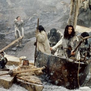 Bilder Der Schatten des Wolfes