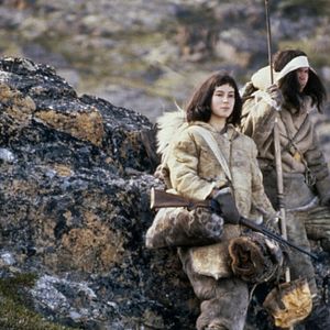 Bilder Der Schatten des Wolfes