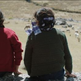 Bilder The Greatest House in the World