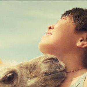 Bilder Celestial Camel