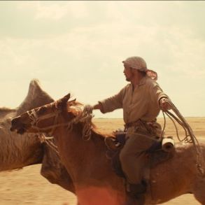 Bilder Celestial Camel