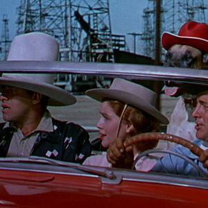 Bilder Alles um Anita