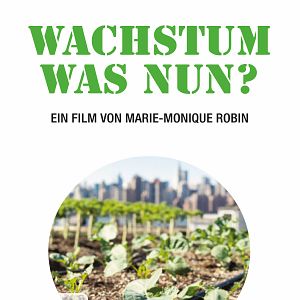 Bilder Wachstum, was nun?