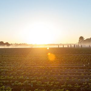 Bilder City of McFarland