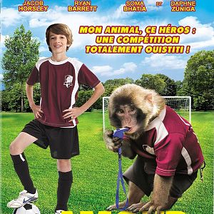 Bilder Monkey in the Middle