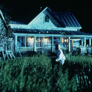 Bilder Die Vögel II - Die Rückkehr