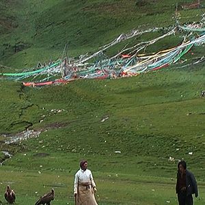 Bilder Le Rappel des oiseaux