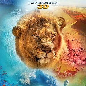 Bilder Afrika - Das magische Königreich