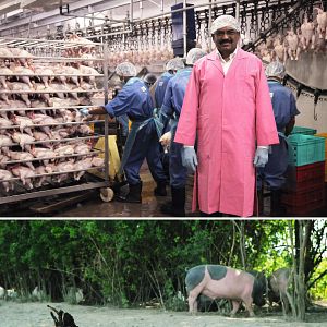 Bilder 10 Milliarden - Wie werden wir alle satt?