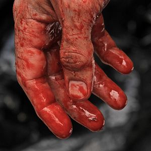 Bilder Exists - Die Bigfoot-Legende lebt!