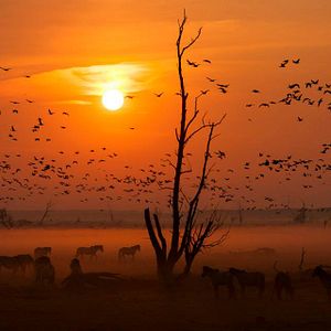 Bilder Die neue Wildnis - Große Natur in einem kleinen Land