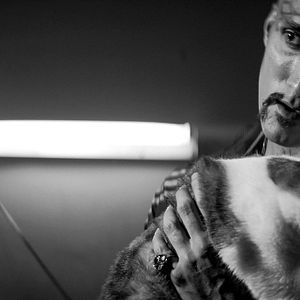 Bilder A Girl Walks Home Alone At Night