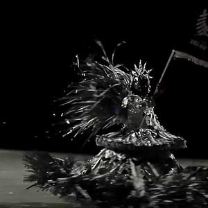 Bilder Vai-Vai: 80 anos nas Ruas