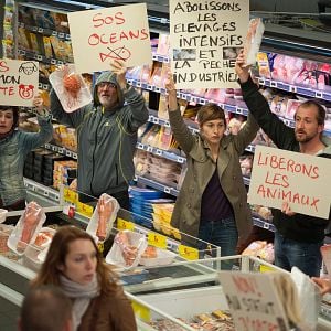 Bilder Aus Liebe zum Tier