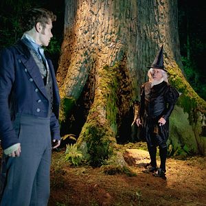 Bilder Das kalte Herz