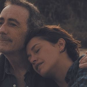 Bilder Alain Chamfort