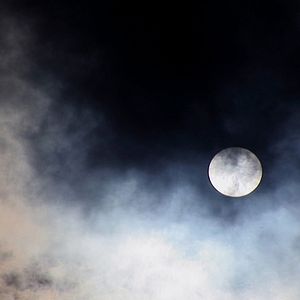 Bilder L'Echappée, à la poursuite d’Annie Le Brun