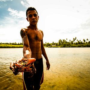 Bilder A Lei da Água - Novo Código Florestal