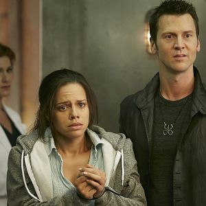 Bilder Sean Rogerson