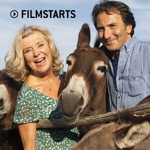 Bilder Zwei Esel auf Sardinien