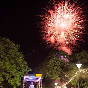 Bilder Out Of The Dark