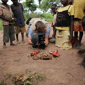 Bilder Madina's Dream