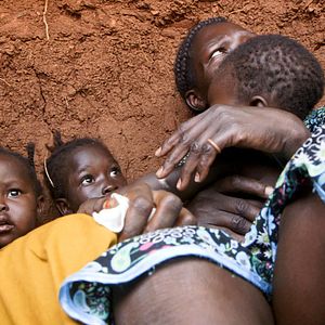 Bilder Madina's Dream